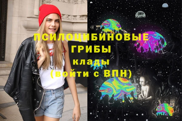 гидра Беломорск